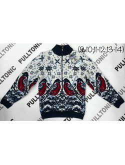 Подростковый свитер на молнии Снегири 02