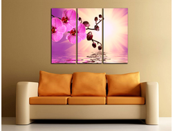 Модульная картина "Нежная орхидея"