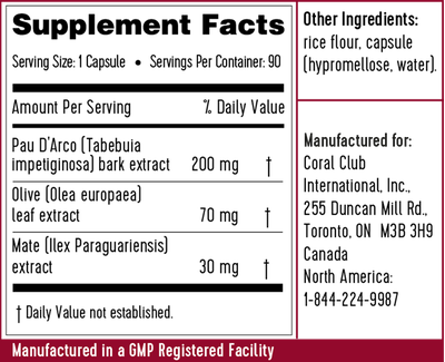 КОРА МУРАВЬИНОГО ДЕРЕВА С МАТЕ