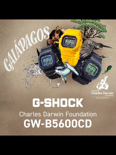 Часы Casio G-Shock GW-B5600CD-1A2
