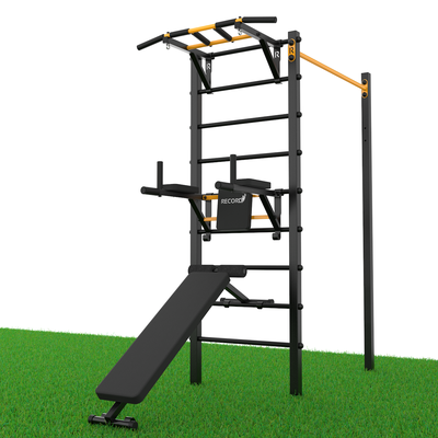 Уличный турник + шведская стенка с турником-брусьями и скамьей Record R4W-1 профиль 60х60х2 мм