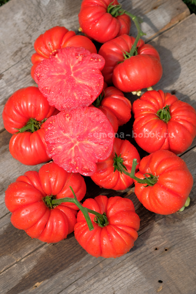 Томат Riccio Di Parma (Кудрявый из Пармы), 10 шт