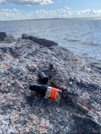 Духи НОТА: БЛИЗОСТЬ В РОЩЕ ПОД ДОЖДЁМ, 2.5 мл