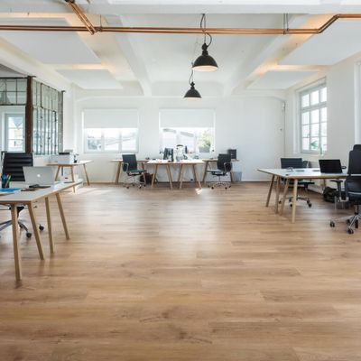 Виниловый пол Wineo 600 Wood WarmPlace DB184W6 клеевой