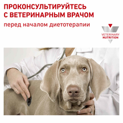Royal Canin (Роял Канин) Renal сухой корм для собак с заболеваниями почек, 2 кг