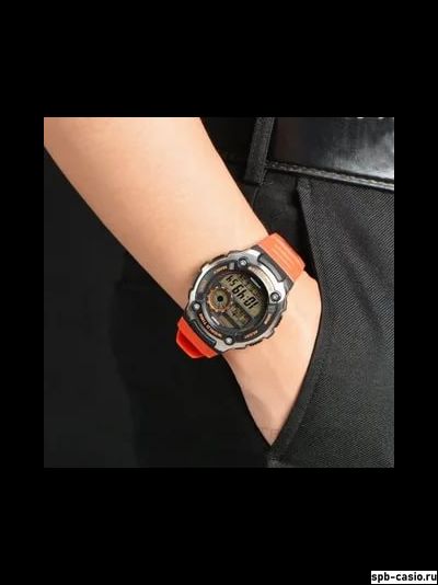Часы Casio AE-2100W-4A