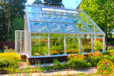Зимняя теплица Владимир в английском стиле