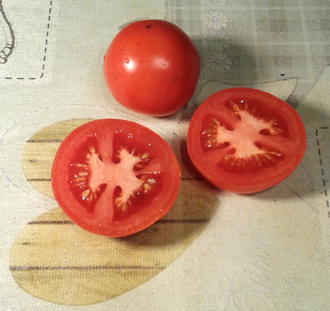 Семена томата Туман Сан-Франциско