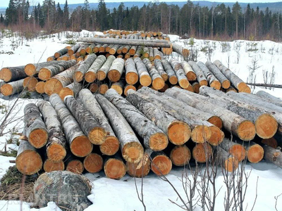 Бревно Кело диаметр 36 см, длина 6 м