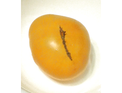 Семена томата Сияющая красота Гном