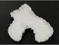 Коралл белый, коллекционный образец, Китай (42*32*11 мм, 10 г) №37630