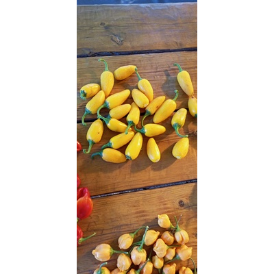 Перец острый Халапеньо желтый (Jalapeno Yellow)
