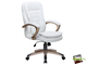 Офисное кресло для руководителей DOBRIN DONALD, белый