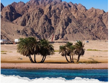 4 w 1 - KANION SALAMA + TRZY BASENY + JAZDA NA WIELBŁĄDZIE + DAHAB Z SHARM EL SHEIKH