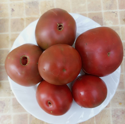 Томат Занавес Маргарет (Margaret Curtain, США)