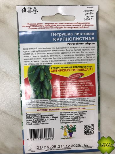 ПЕТРУШКА "КРУПНОЛИСТНАЯ"