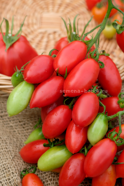 Томат Килечки, 10 шт