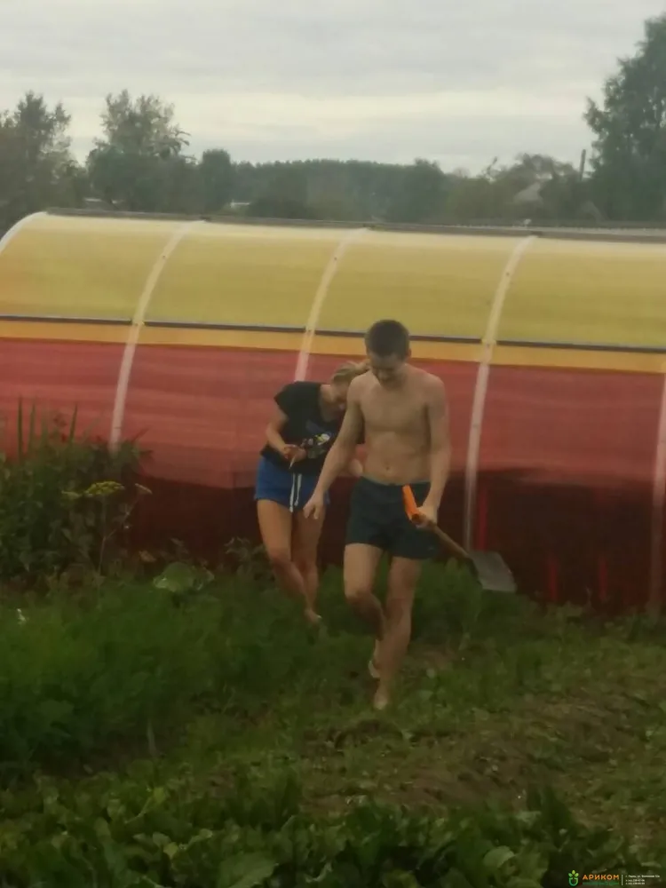 Теплица из сотового поликарбоната с раздвижной крышей от Ариком в Перми и Кунгуре