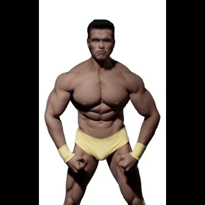 Супер-подвижное бесшовное мужское тело (телоид) PL2016-M34 1/6 Super flexible Male Seamless Body - PHICEN