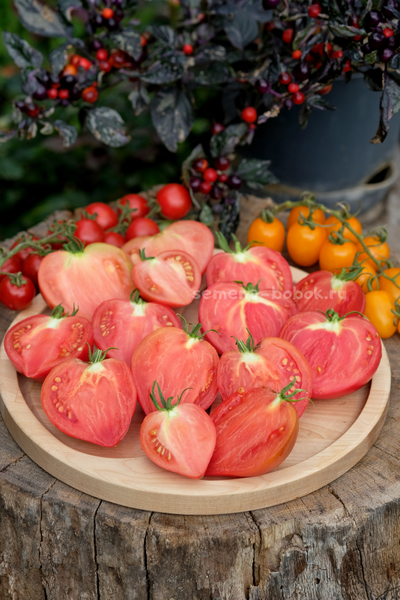 Томат Клубничный Сержант, 10 шт