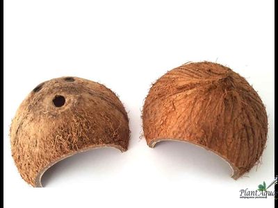 FF Cocos Cava 1/2 - Укрытие декоративное из кожуры кокоса (половинка)