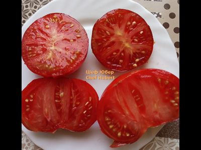 Томат Шеф Юбер (Chef Hubert)