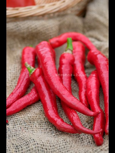 Перец сладкий ДЖИММИ НАРДЕЛЛО, 10 шт