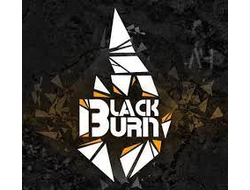 Табак Black Burn Siberian Soda Лимонад Байкал 200 гр