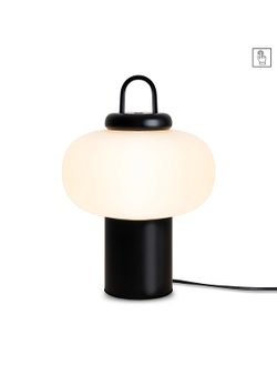 Freya, Настольный светильник Take, FR6175TL-L10B