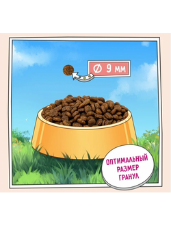 ZILLII Light/Sterilized Cat Корм сухой для взрослых кошек с избыточным весом и стерилизованных Индейка и Утка 0.4 кг