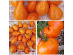 Томат Ночная свеча (Night Candle)