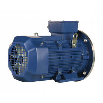 Электродвигатель 5АИ 100S4 (3 кВт) IM 2081