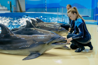 Дельфинарий в парке Ривьера