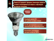 Paulmann Halogen ALU Reflector PAR16 35w 230v E14