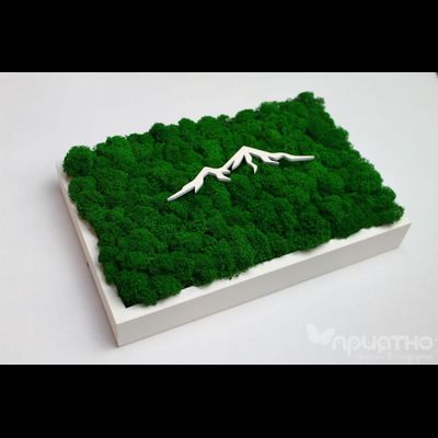 ЖИВАЯ ЭКО-КАРТИНА 1037