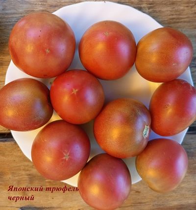 Томат Японский трюфель черный