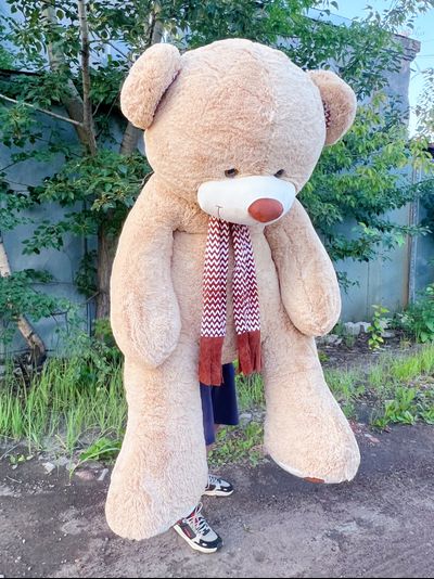 Гигантский плюшевый медведь 280 см кремовый Михель