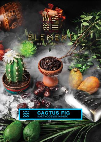 Табак Element Cactus Fig Кактус Вода 25 гр