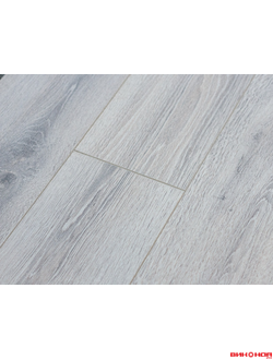 Дуб Норвежский