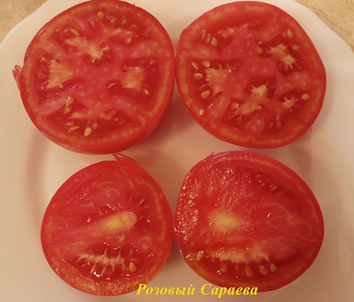 Томат Розовый Сараева