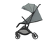 Коляска прогулочная Espiro Pop 2025 10 Black Lucerice