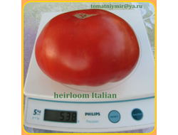 Томат Итальянские фамильные (Heirloom Italian)