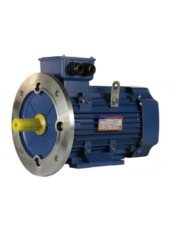 Электродвигатель 5АИ 100L8 (1,5 кВт) IM 2081