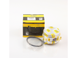 porshen-68kh54-mm-gx160-komplekt-analog-13101-zf1-000-pro