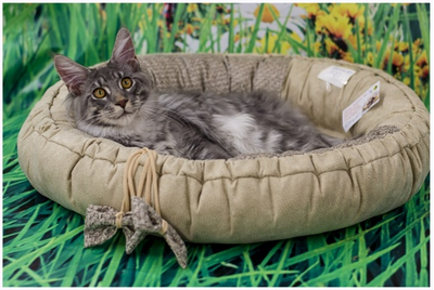 Матрас-лежак  трансформер  «Кокетка2»