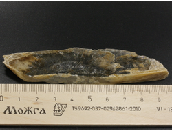 Гипс, кристалл, Россия, Ставропольский край  (97*21*8 мм, 28 г) №29483