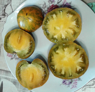 Семена томата Золта зебра