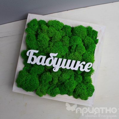 Живая Эко-Картина "Бабушке" 1085