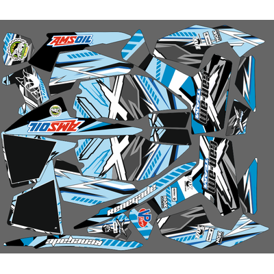 Can-am BPR Renegade #906