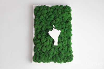 ЖИВАЯ ЭКО-КАРТИНА 1029